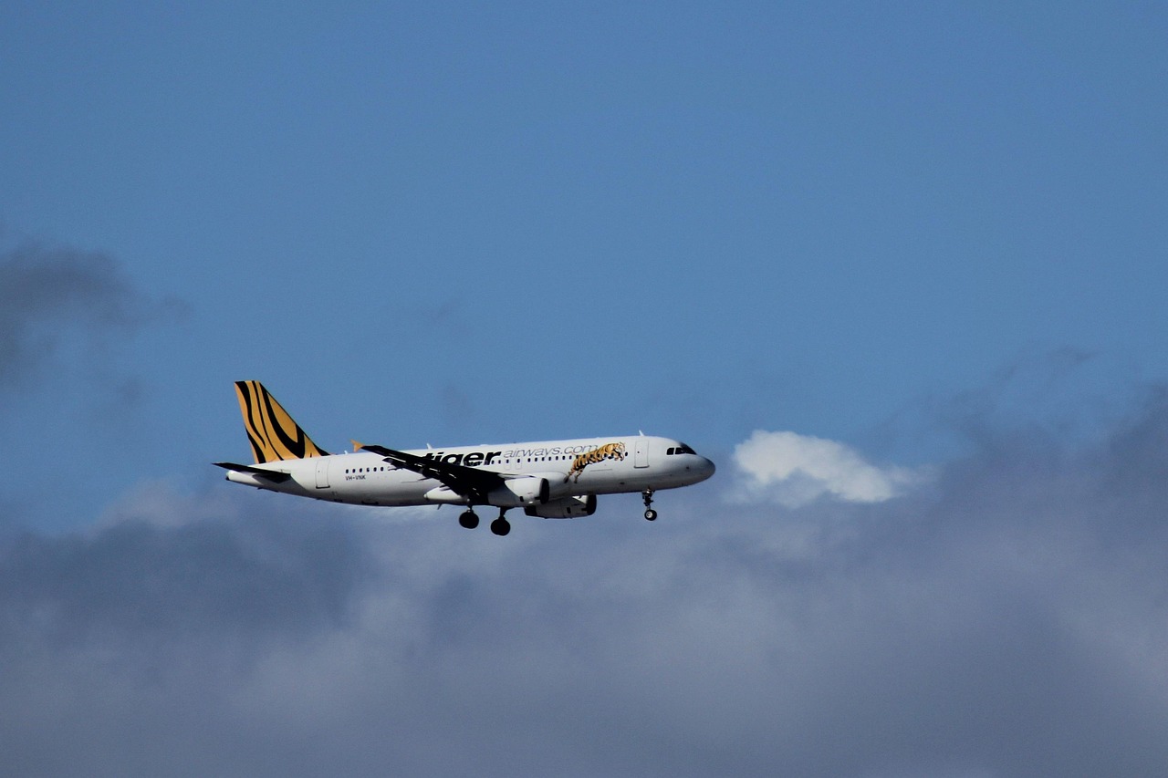 “Un aereo in volo sopra una città, simbolo dei voli economici e dei rischi nascosti.”