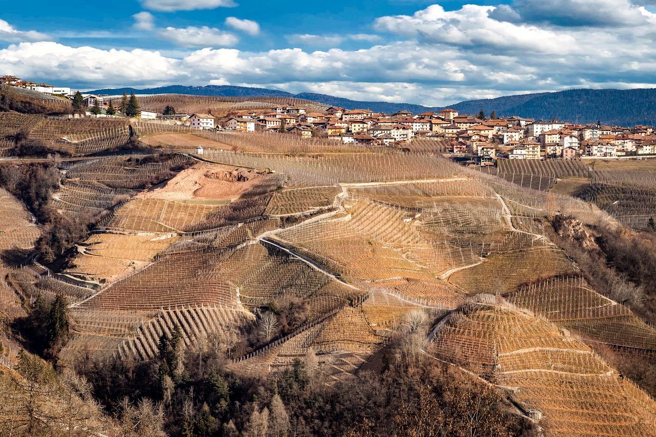 Vista panoramica di un pittoresco borgo piemontese circondato da colline verdi e vigneti.