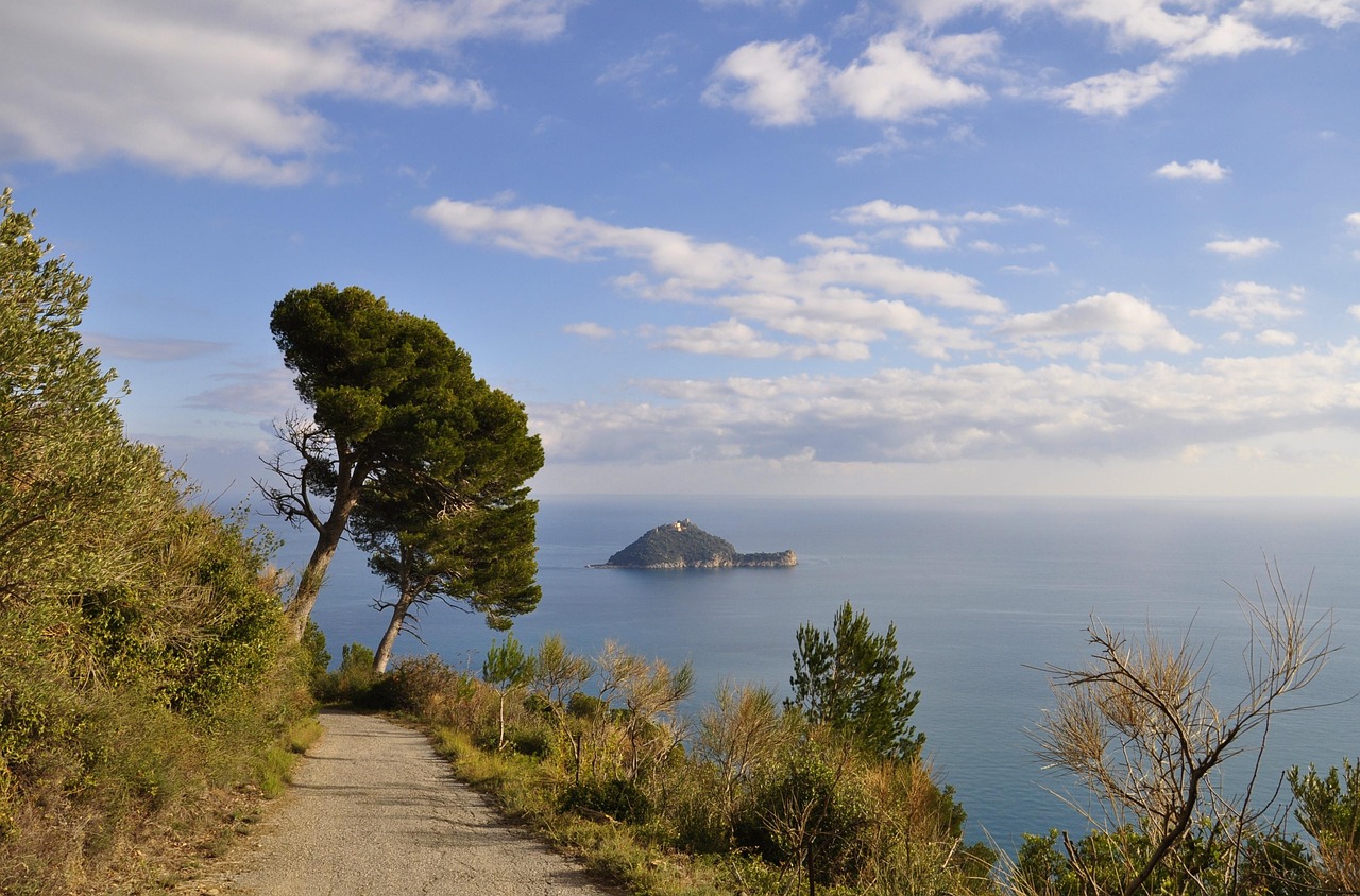 Sentiero verde in Liguria con vista panoramica sul mare blu e cielo sereno.
