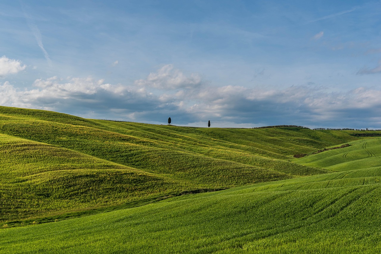 Panorama della Val d'Orcia con dolci colline, cipressi e un cielo sereno, simbolo della bellezza toscana.