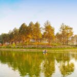 Panorama sereno di un paesaggio naturale, simbolo di tranquillità e bellezza.